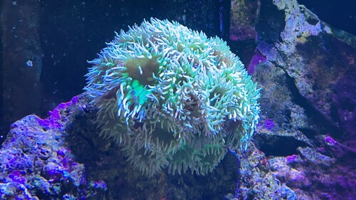 IMG_6370.jpeg