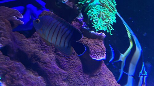 IMG_6379.jpeg