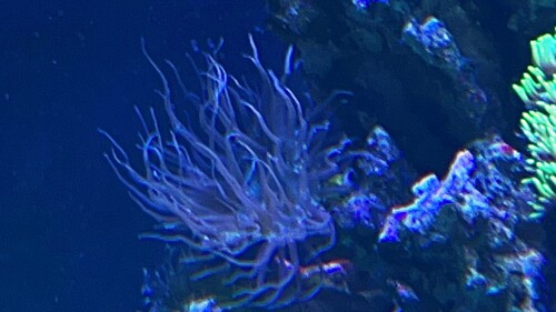 IMG_6385.jpeg