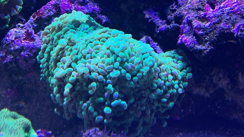 IMG_6392.jpeg