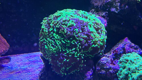 IMG_6396.jpeg