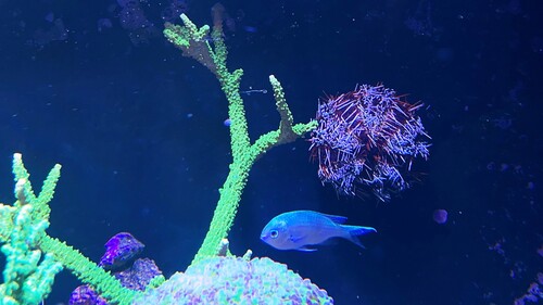 IMG_6398.jpeg