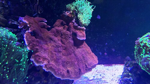IMG_6399.jpeg