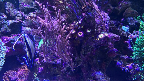 IMG_6404.jpeg