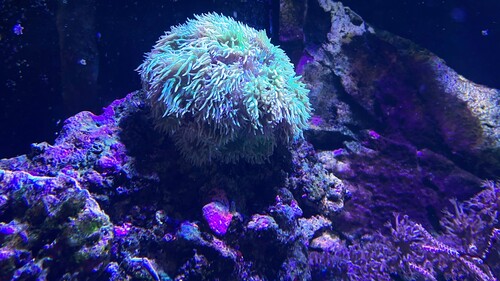 IMG_6406.jpeg