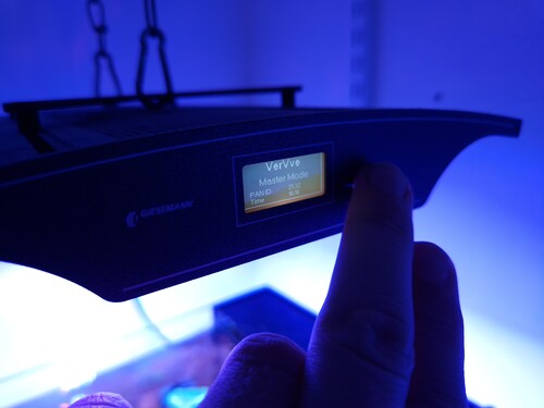20241120_153206.jpg