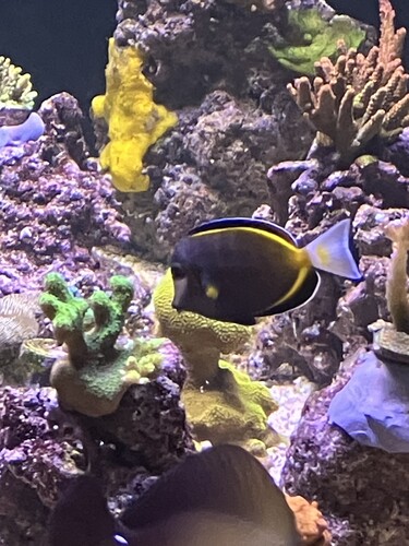 IMG_2400.jpeg