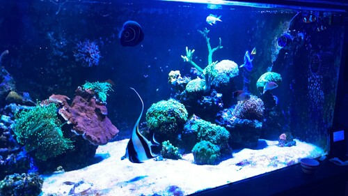 IMG_6488.jpeg
