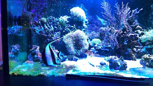 IMG_6493.jpeg