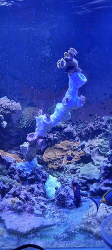 20241130_174613.jpg