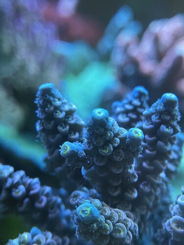 IMG_4530.jpeg