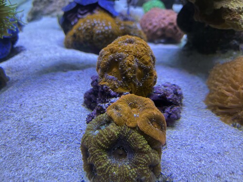 IMG_4643.jpeg