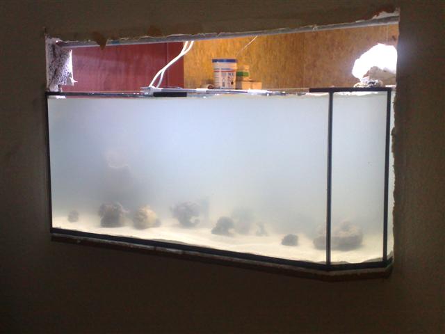 20072008032 (Small).jpg