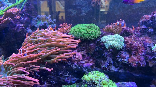 IMG_4535.jpeg