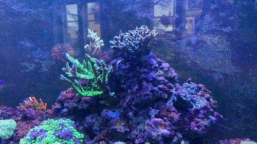 IMG_4536.jpeg