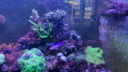IMG_4538.jpeg