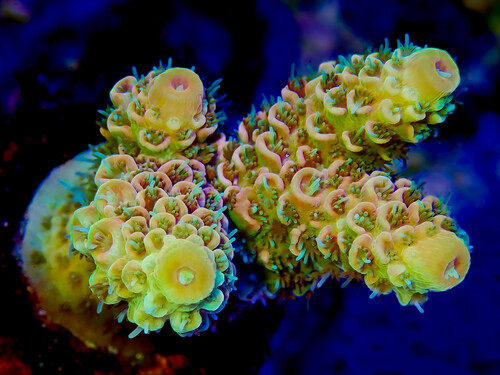 P1060020-2.jpg
