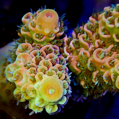 P1060020-3.jpg