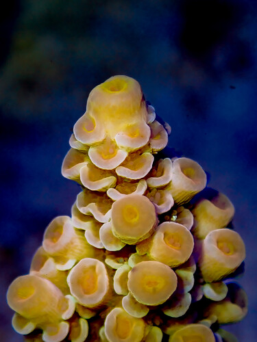 P1060041-2.jpg