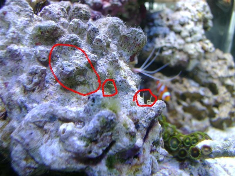 DSC01572 (Large) (2) (Medium).JPG