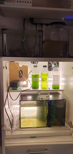 20250127_193115.jpg