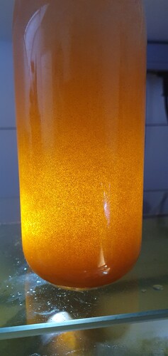 20250201_144603.jpg