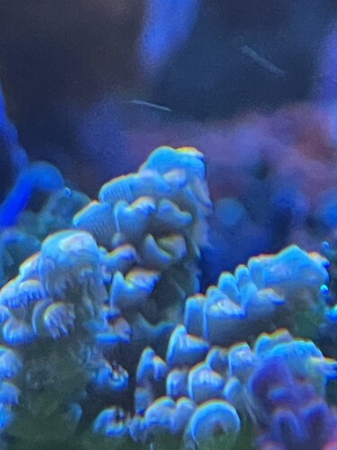 IMG_4777.jpeg