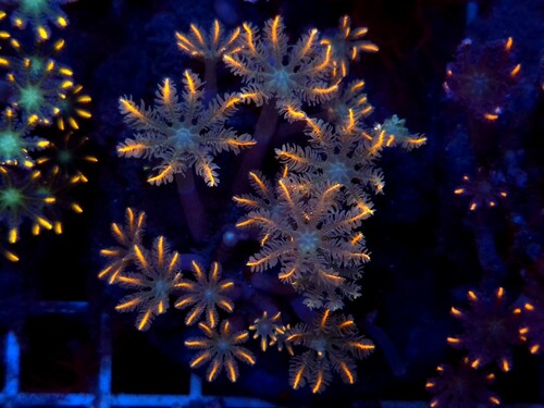 7c9ab8a0-6c60-400c-93c1-ccbd3acfc558.jpeg