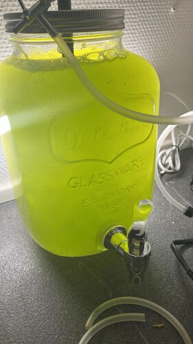 IMG_2594.jpeg