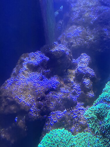 IMG_1028.jpeg