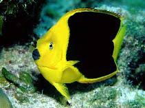 IMG_1104.jpeg