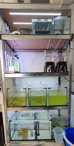 20250216_114014.jpg