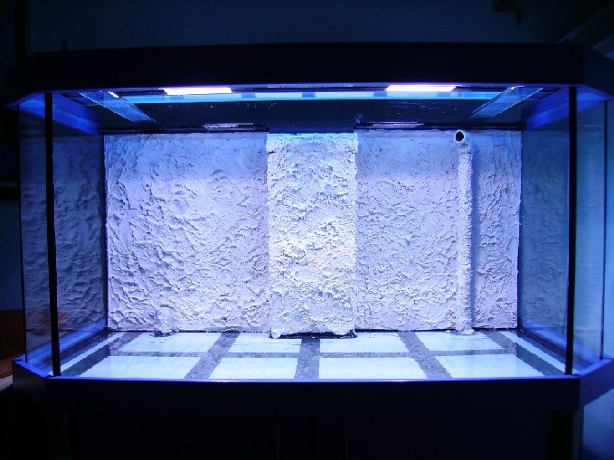 PICT0155.JPG