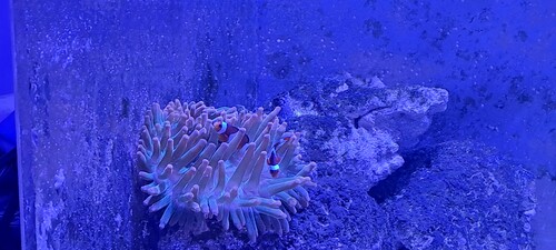20250218_194047.jpg