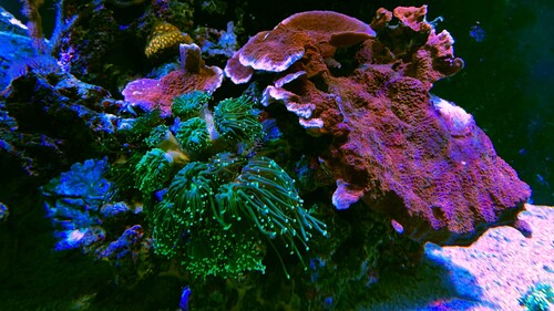 IMG_6928.jpeg