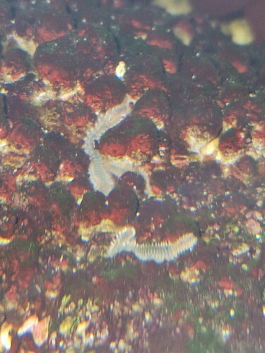 20250308_063754.jpg