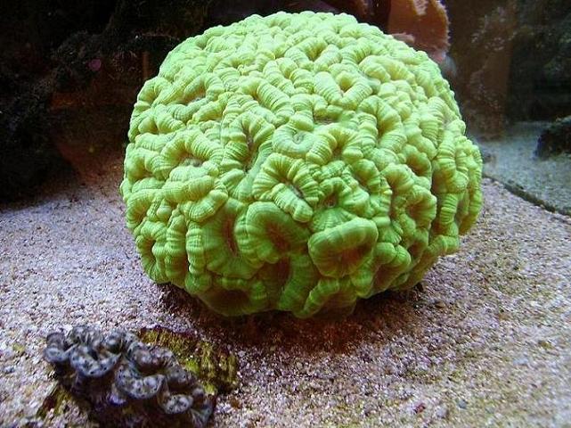 PICT0781.JPG
