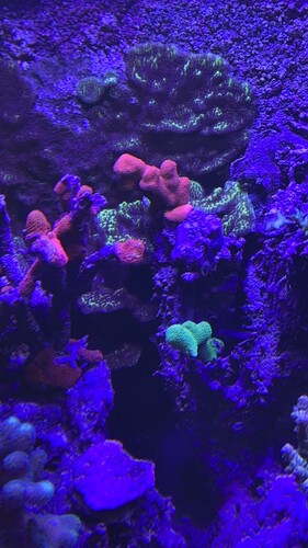 IMG_7604.jpeg
