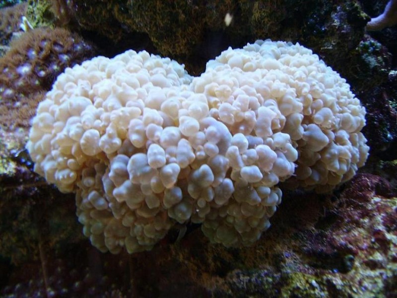 PICT0784.JPG
