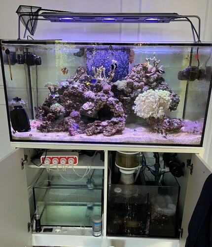 Akvarie_1.jpg