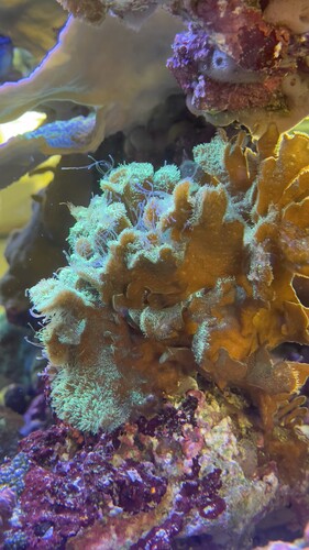 IMG_5080.jpeg