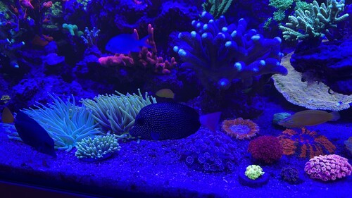 IMG_7809.jpeg