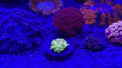 IMG_7817.jpeg