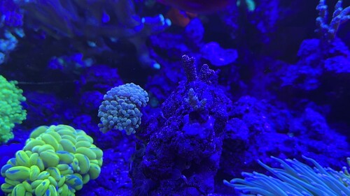 IMG_7823.jpeg