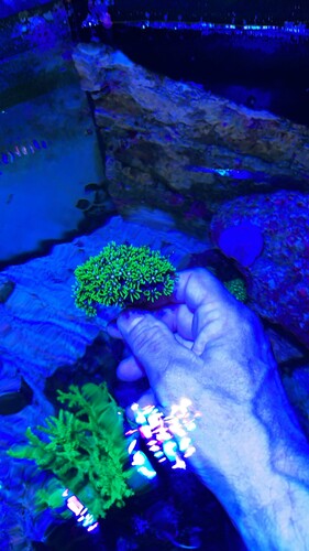 IMG_7236.jpeg