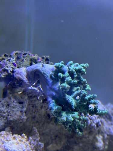 IMG_8464.jpeg