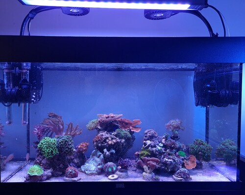 nano2.jpg