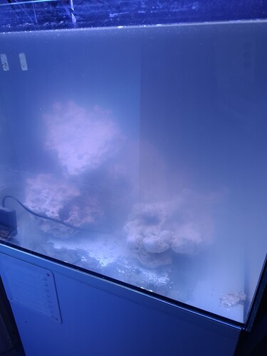 20250425_220314.jpg