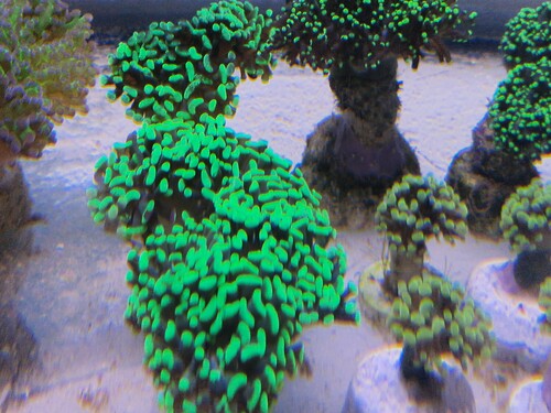 20250427_111305.jpg