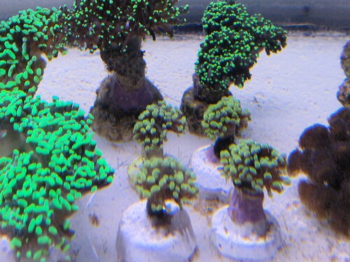 20250427_125310.jpg